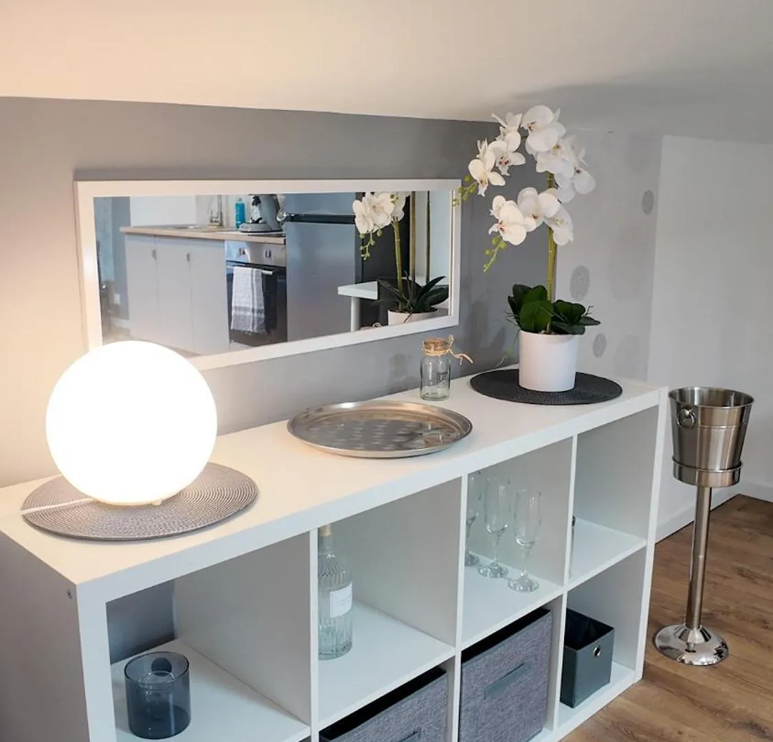 Cosy Appartement 1 Chambre L Netflix L Terrasse Castres  France